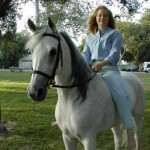 Ali and me Ali the Arabian mare